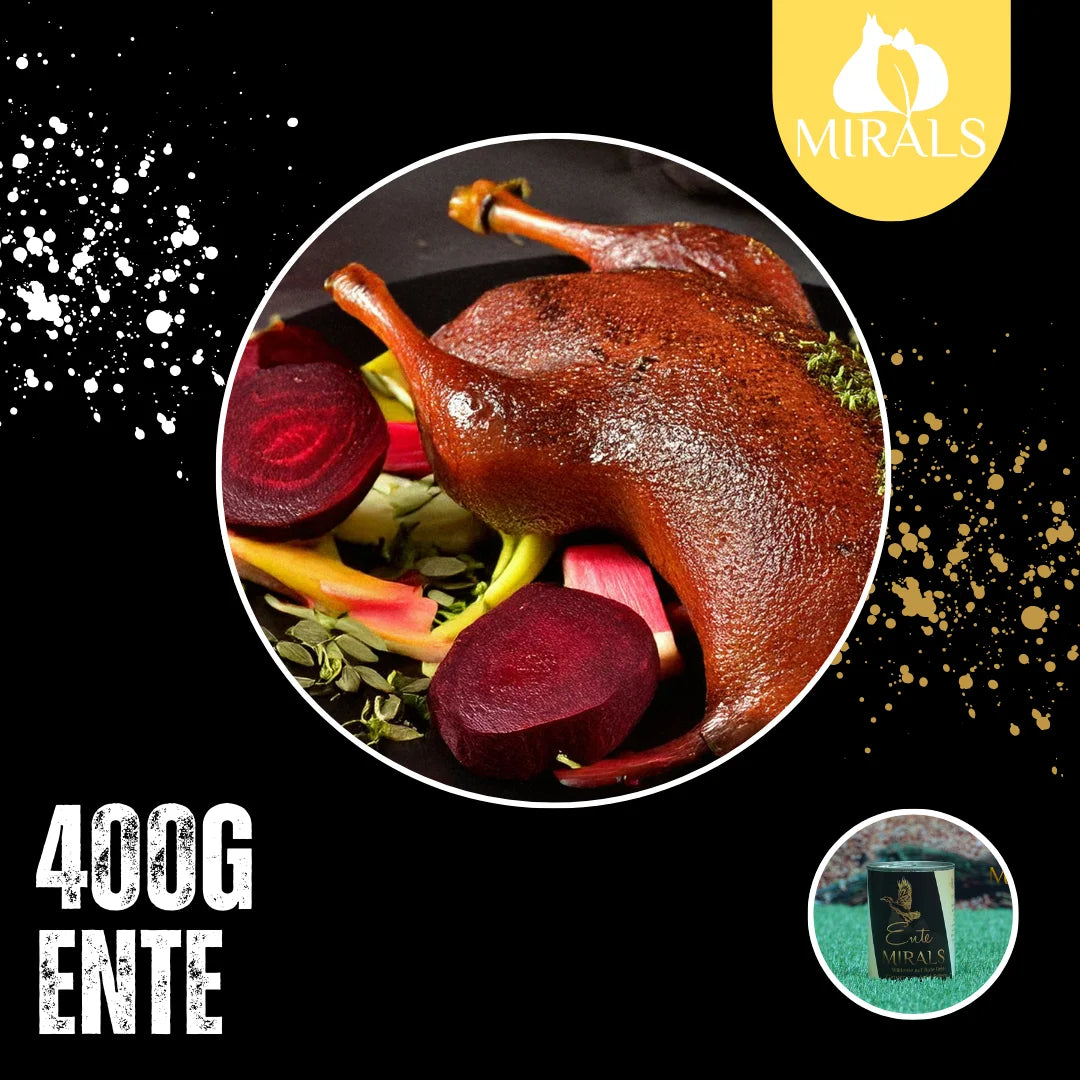 MIRALS Wildente auf Rote-Bete-Carpaccio an Apfel-Sellerie-Bananen-Schaum