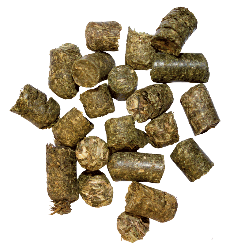 Marstall Wiesen-Cobs