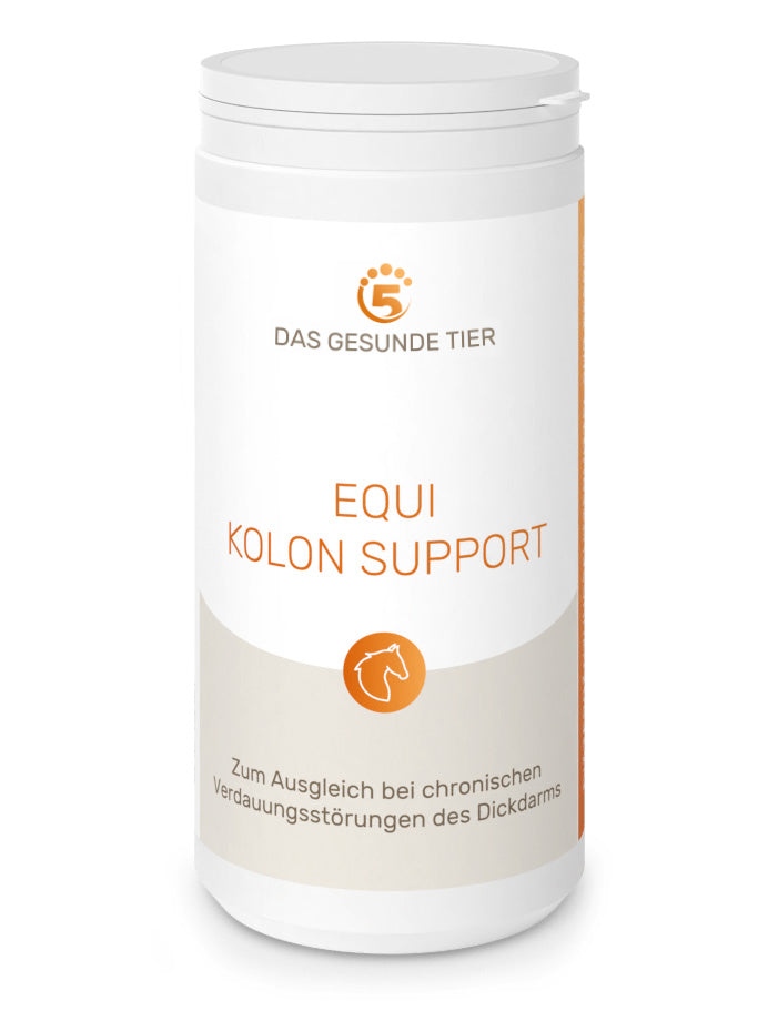 5 Elemente Equi Kolon Support