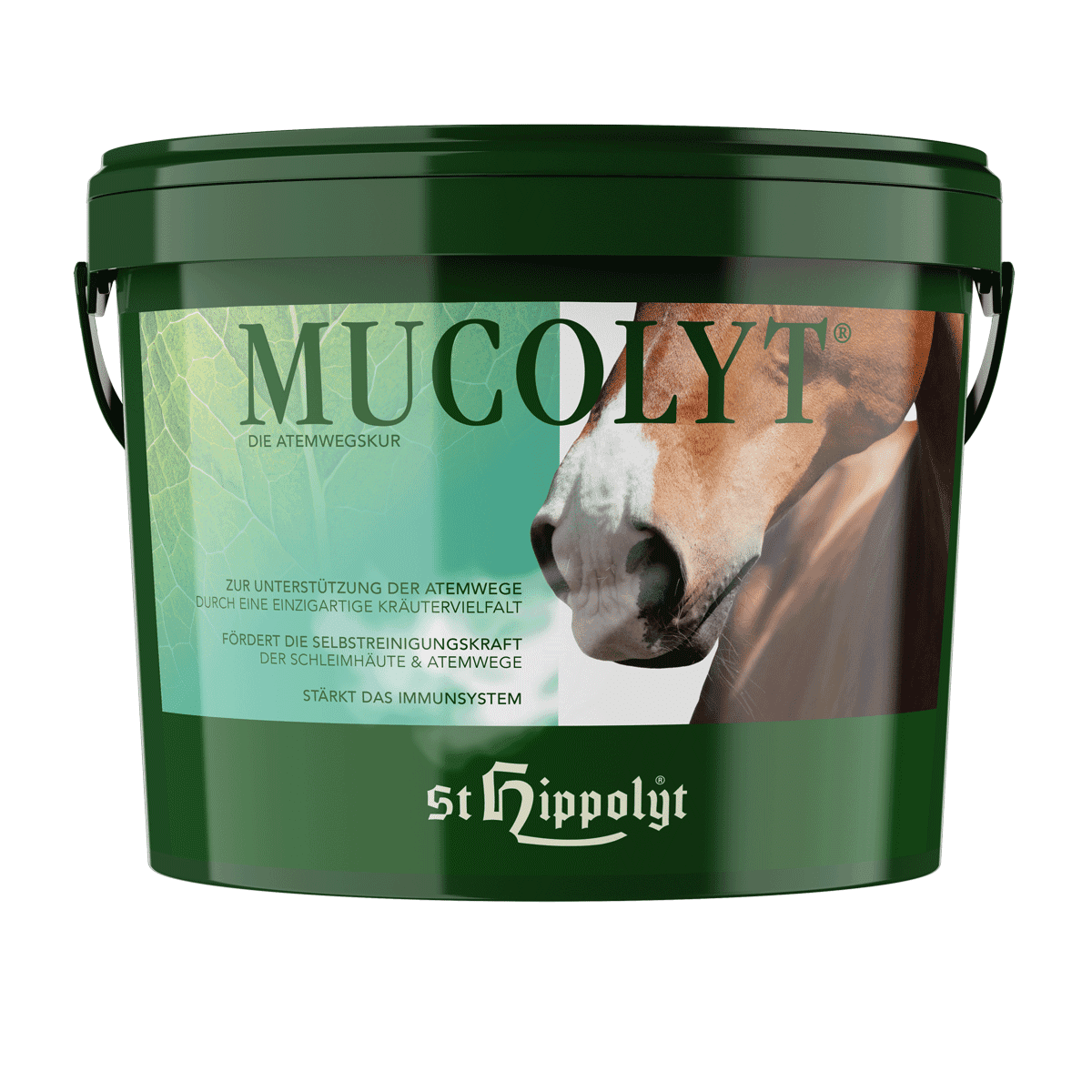 St. Hippolyt : Mucolyt Cure respiratoire