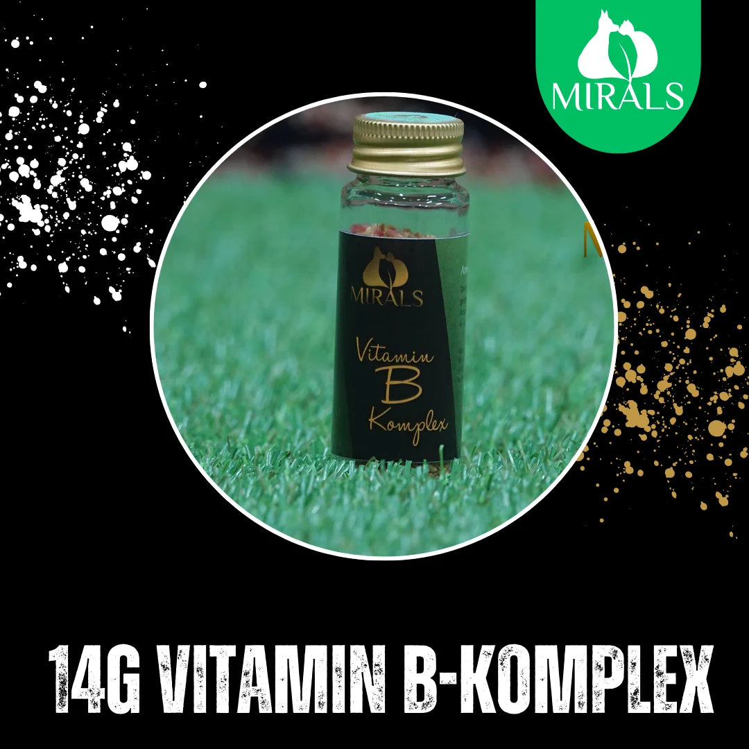 MIRALS Vitamin-B-Komplex