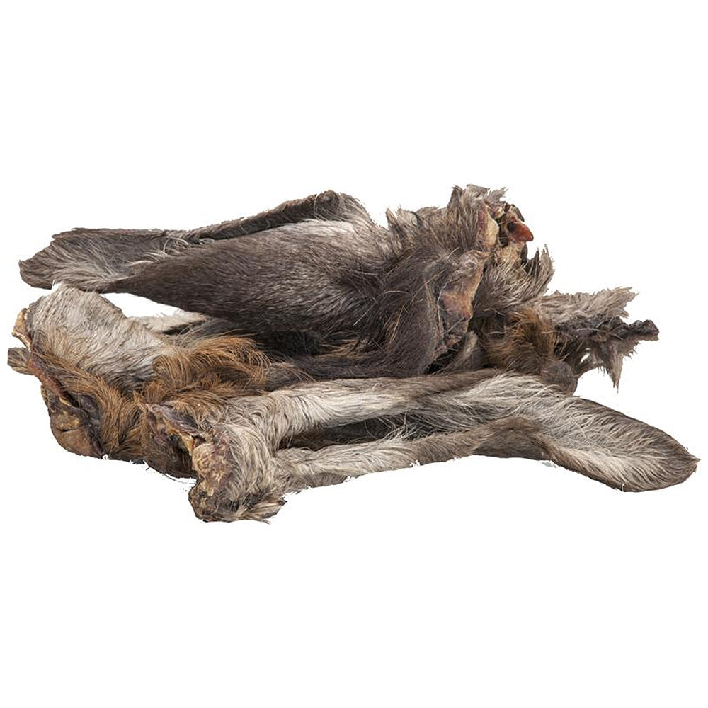 Ecostar Oreilles de cerf avec poils