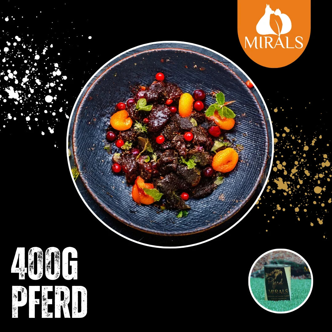 MIRALS Rossfleisch auf Fenchel-Aprikosen-Salat und Hagebutten-Beeren-Creme