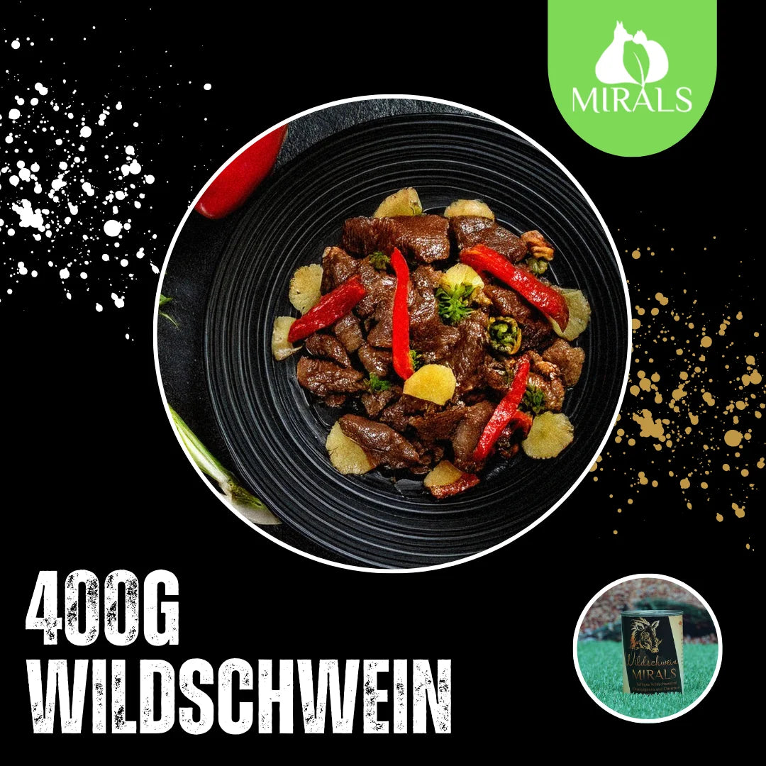 MIRALS Saftiges Wildschwein mit Champignons und Chicorée an Paprika-Ananas-Salat