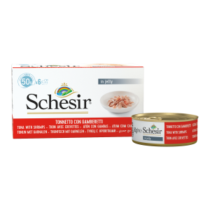 Schesir Katze MP Thunfisch mit Garnelen in Gelee
