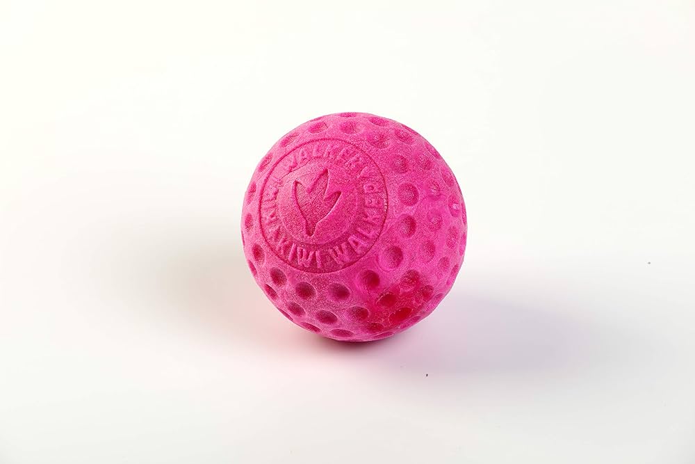 Kiwi Walker : Let's Play Ball