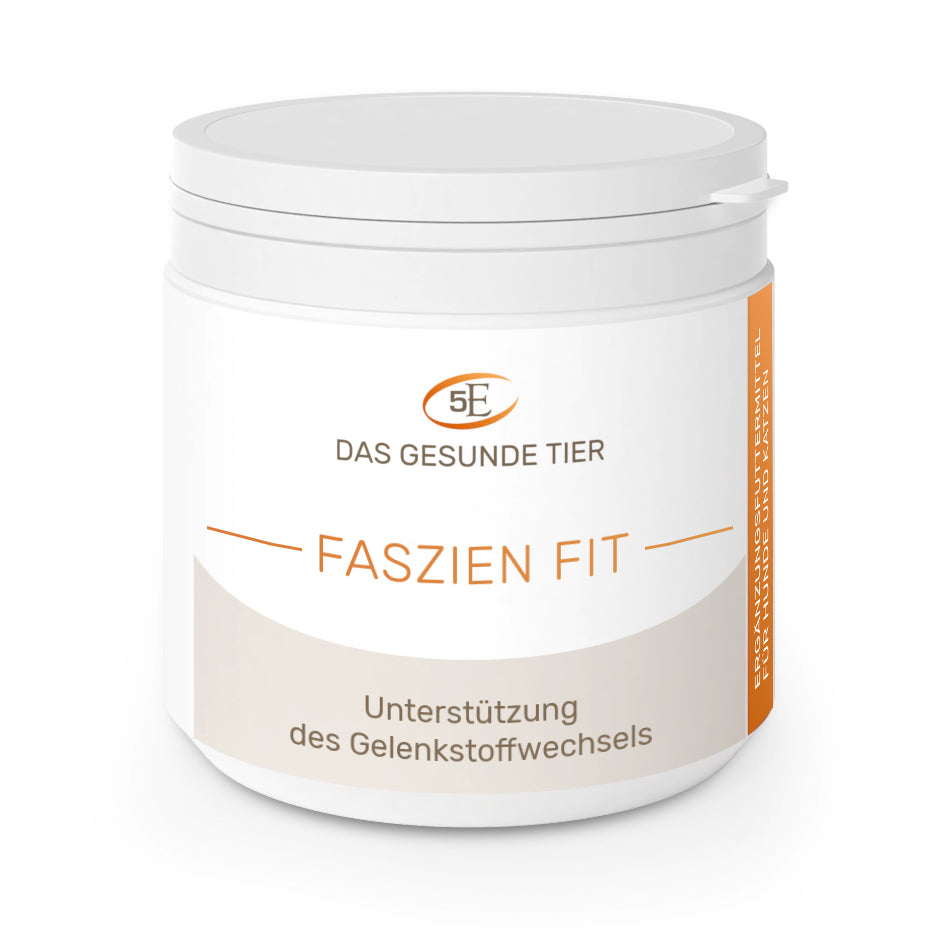 5 Elemente Faszien Fit