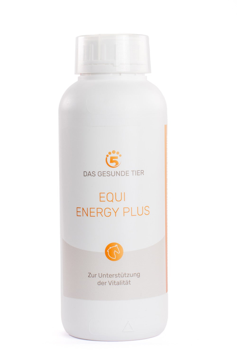 5 Elemente Equi Energy Plus