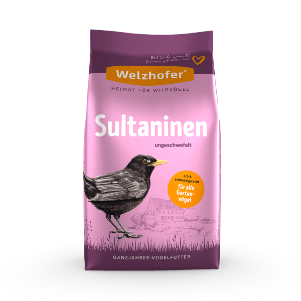 Welzhofer Raisins secs pour oiseaux