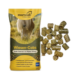 Marstall Wiesen-Cobs