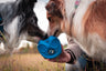 Kiwi Walker Rewards-Tasche Blau