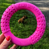 Kiwi Walker Lass uns spielen! Mini-Ring