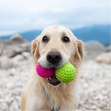 Kiwi Walker : Let's Play Ball