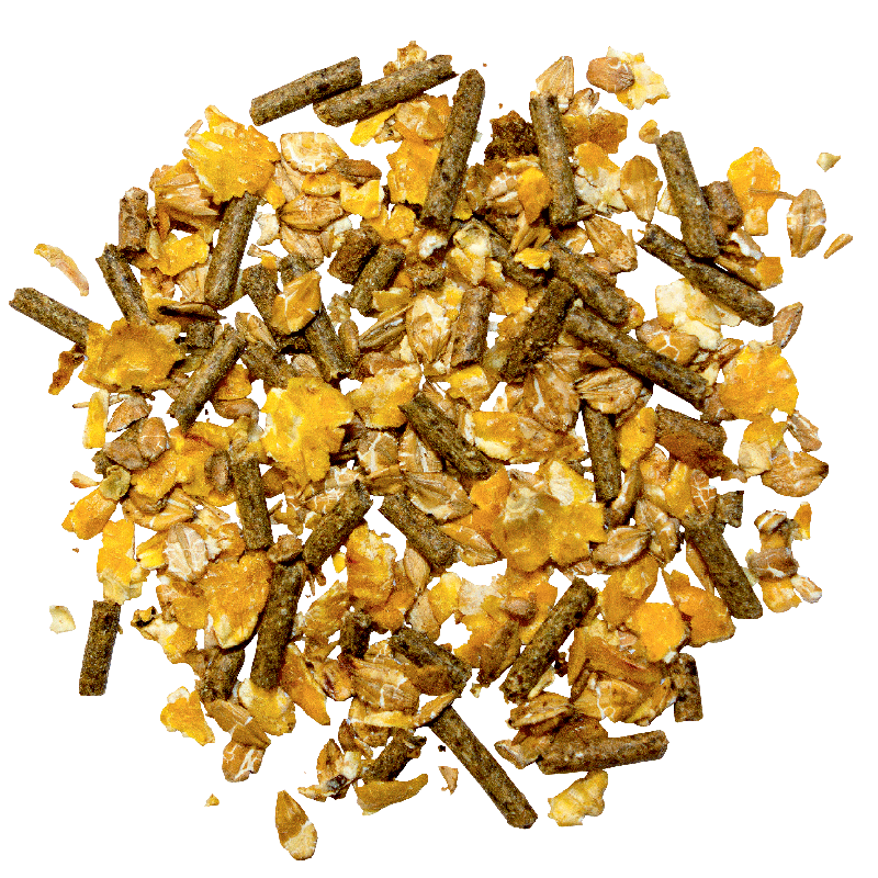 Marstall Universal-Linie Freizeit