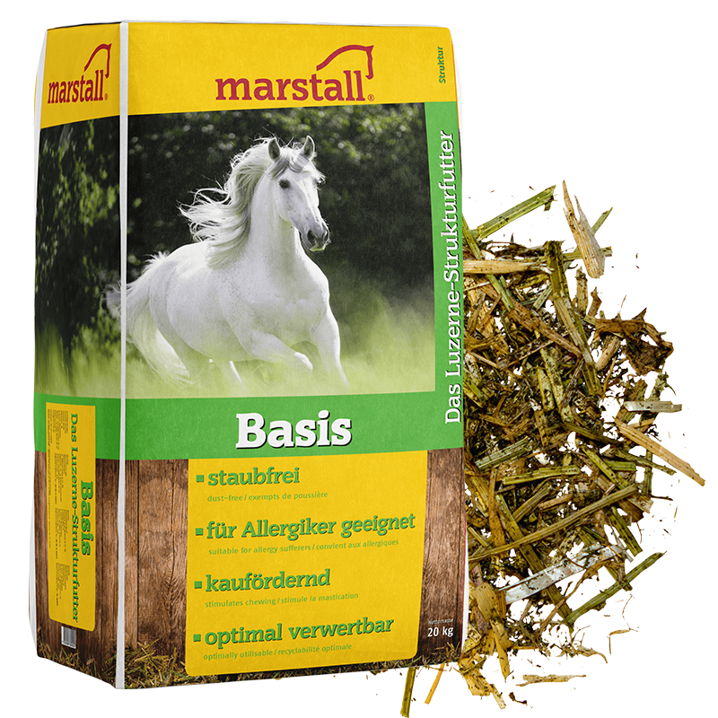 Marstall Base Luzerne
