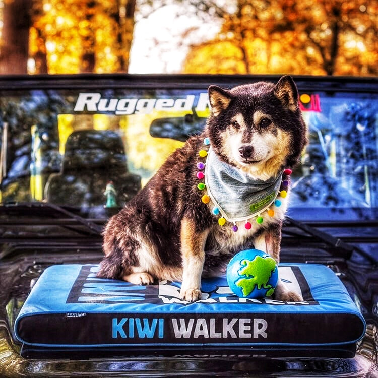 Kiwi Walker Haustierbett Blau/Schwarz