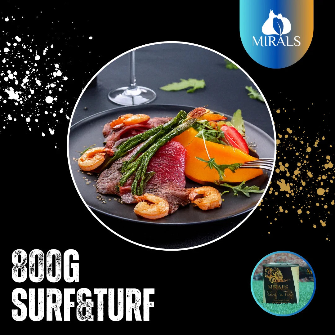MIRALS Surf'n Turf von Kalb und Shrimp mit Spargel-Erdbeer-Jus und Papaya-Rucola-Salat