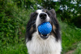 Kiwi Walker : Let's Play Ball