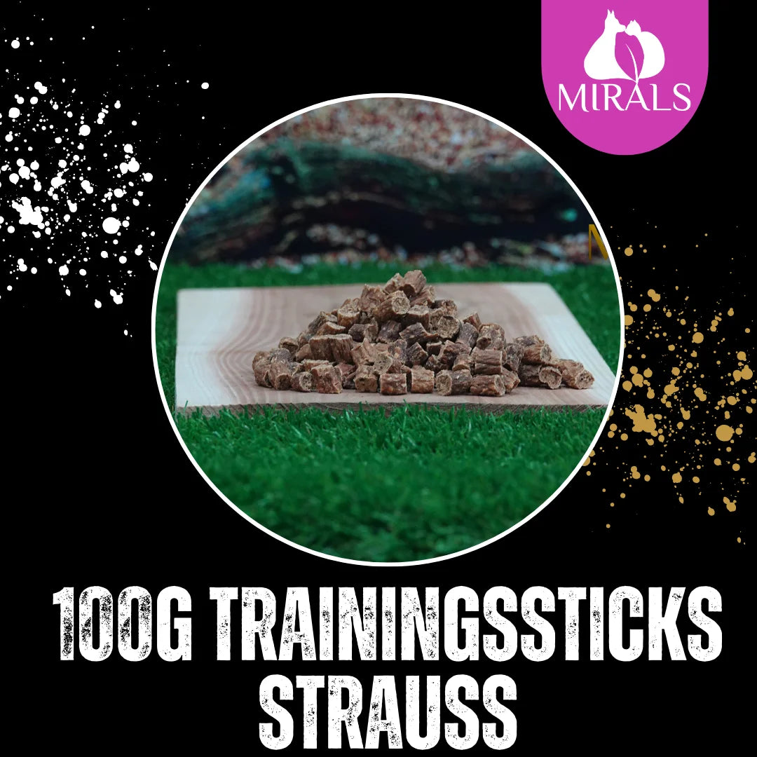 MIRALS Trainingsstick Strauß